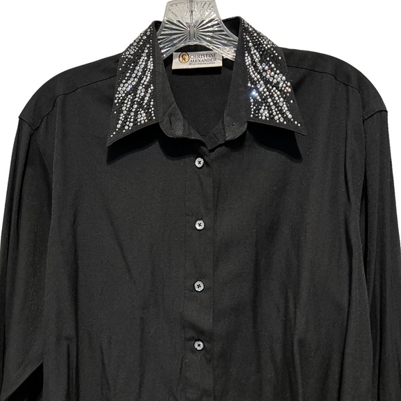 Christine Alexander Rhinestones Collared Button Down Blouse - Picture 4 of 10